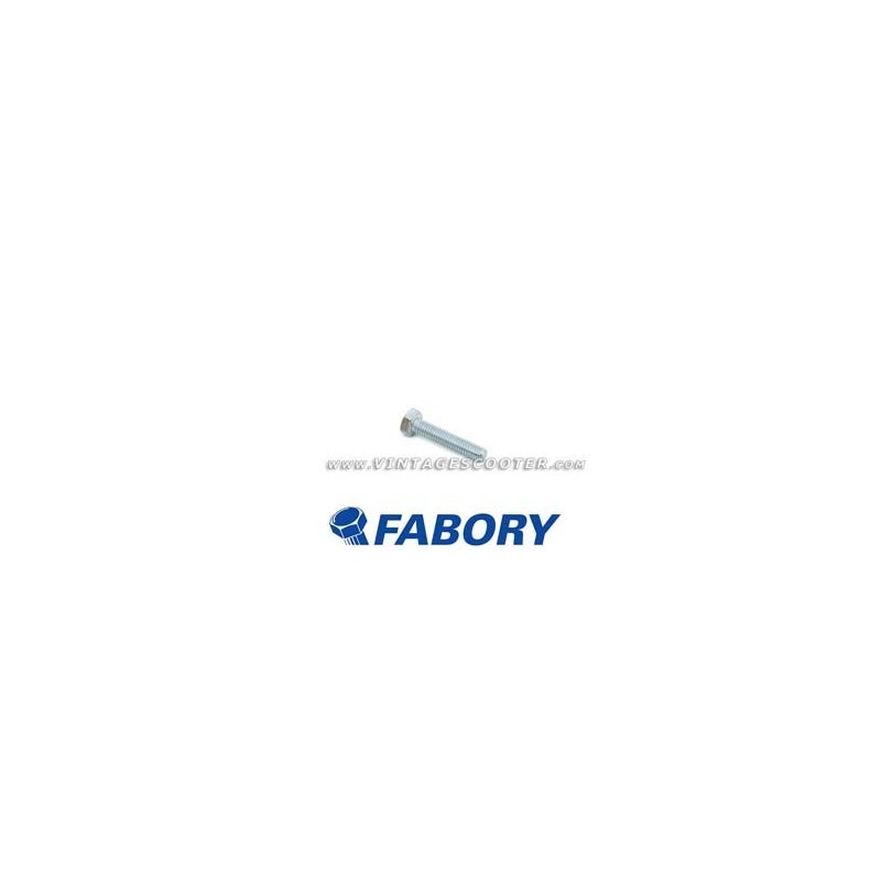 Boulon  M 6 mm L 30 mm zingué FABORY